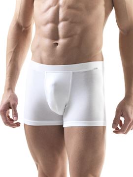 Black Spade Silver Erkek Boxer Don 9310 resmi